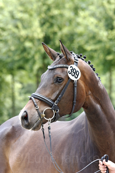 My Joy © Lune Jancke